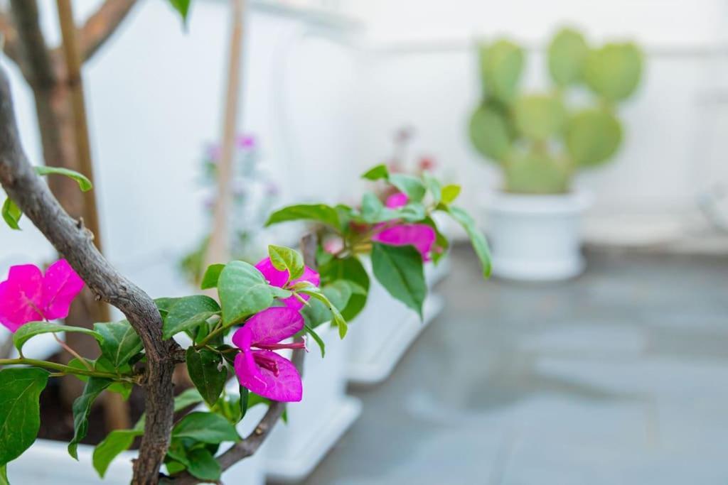 Holiday home La Terrazza In Fiore